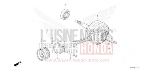 VILEBREQUIN/PISTON CRF110FP de 2023